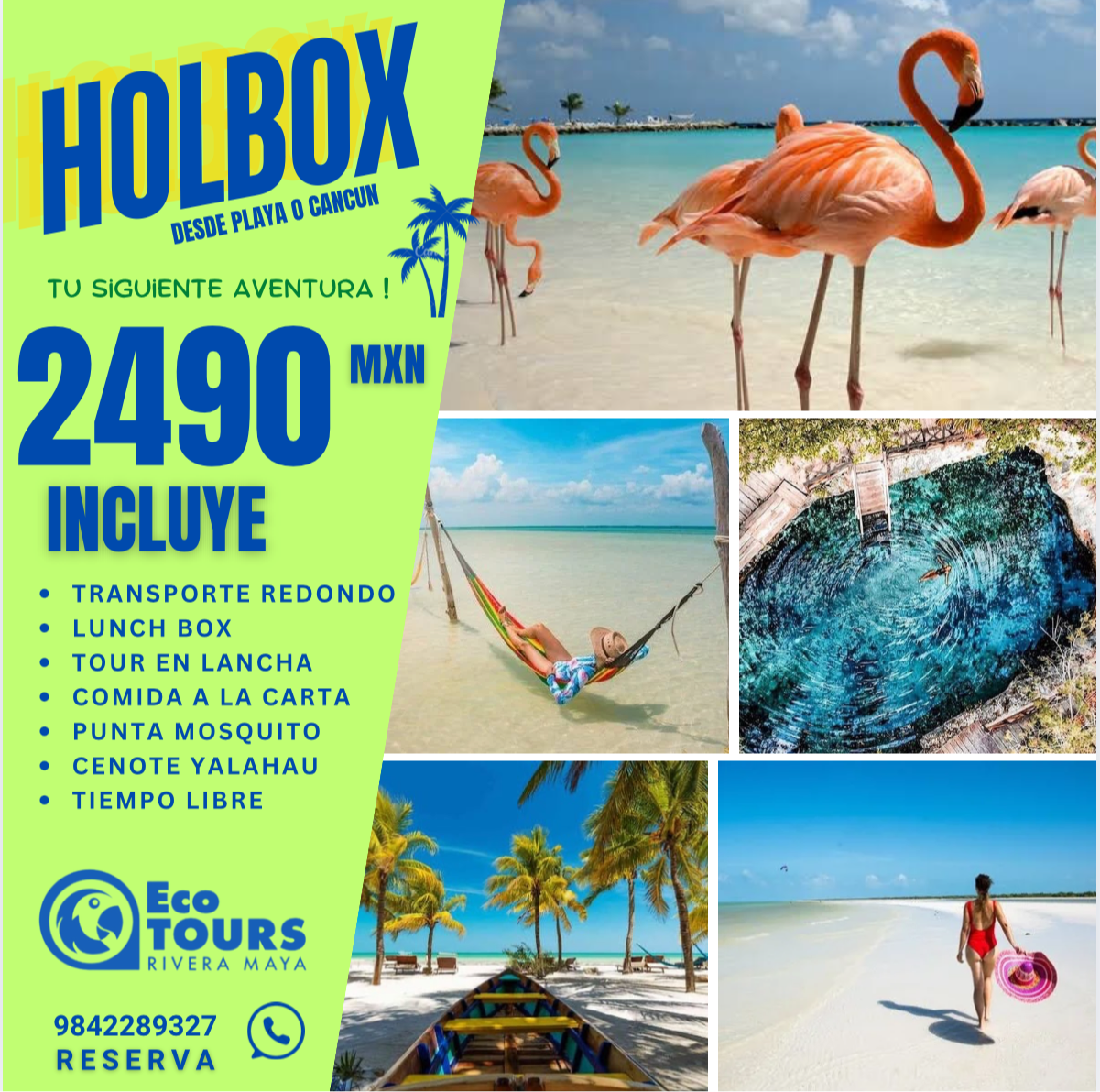 HOLBOX PLUS