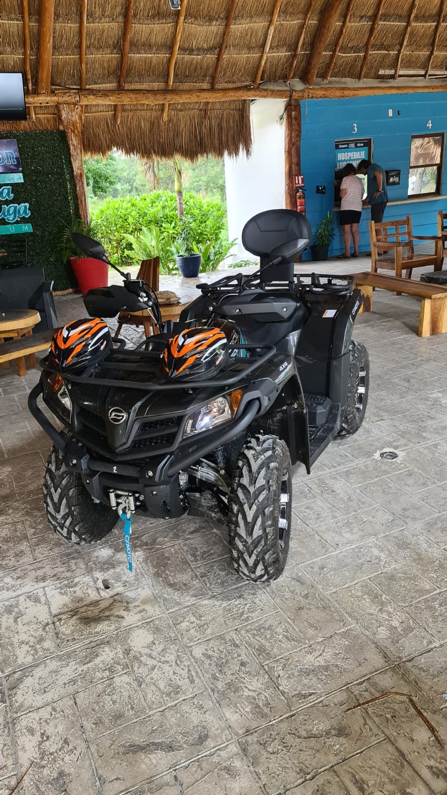 CENOTE CASA TORTUGA + TRANSPORTE