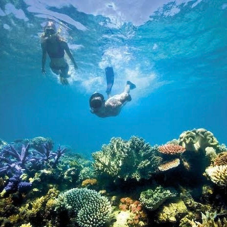 EL CIELO COZUMEL LANCHA