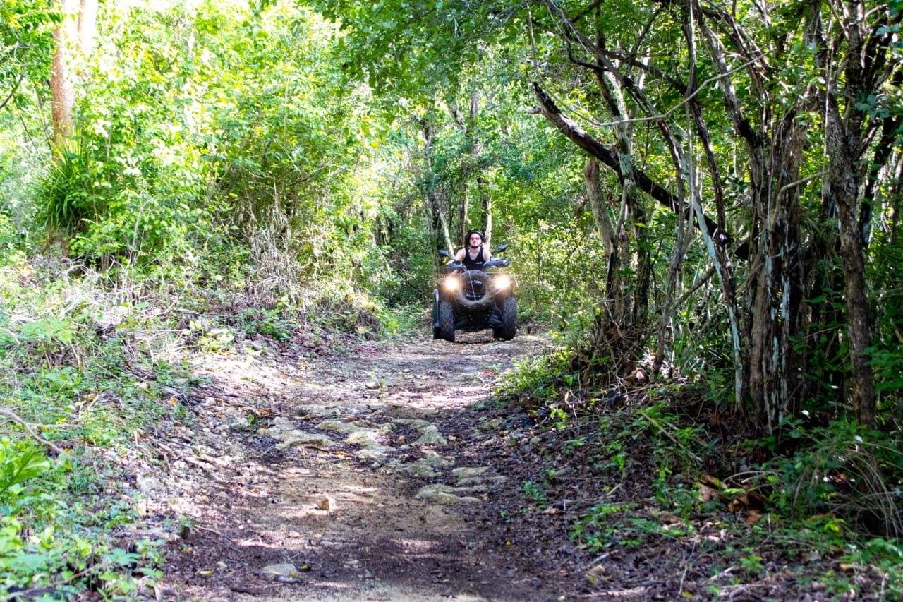 CENOTE CASA TORTUGA + TRANSPORTE
