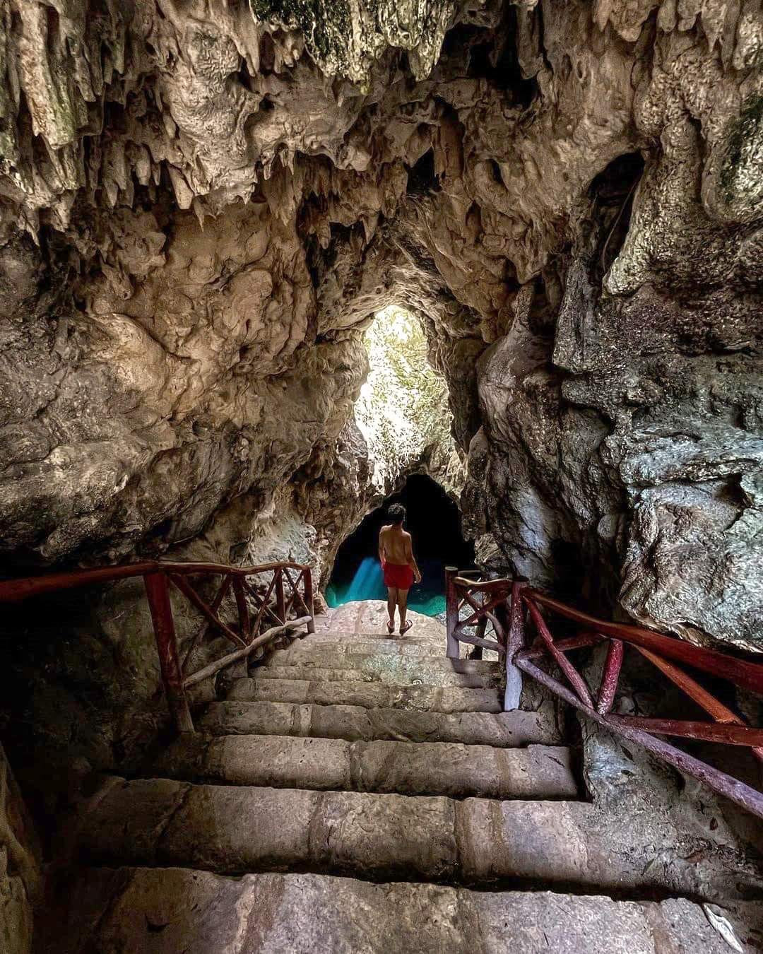 CENOTE CASA TORTUGA + TRANSPORTE
