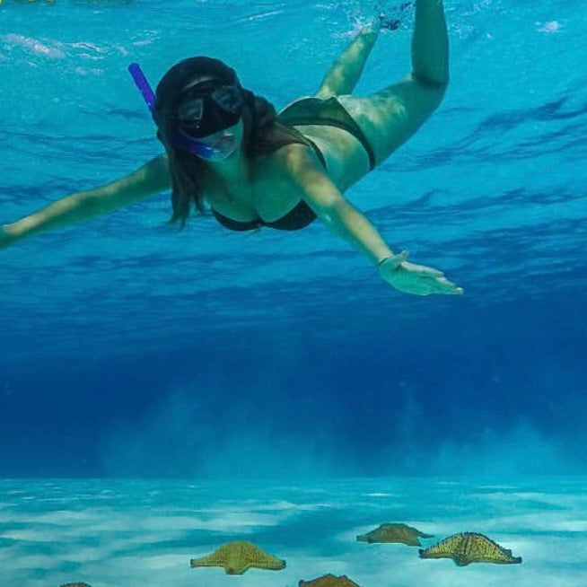 EL CIELO COZUMEL LANCHA