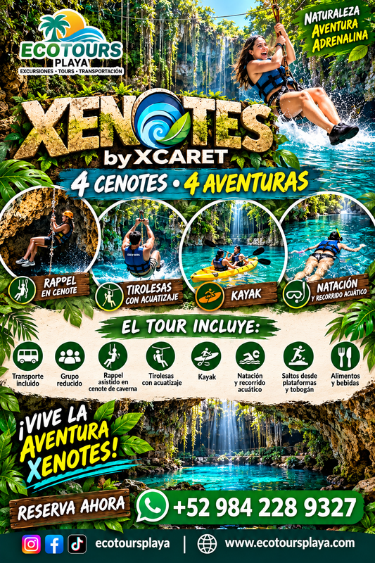 Xenotes Cancún el mejor Tour de Cenotes | $2,400 MXN