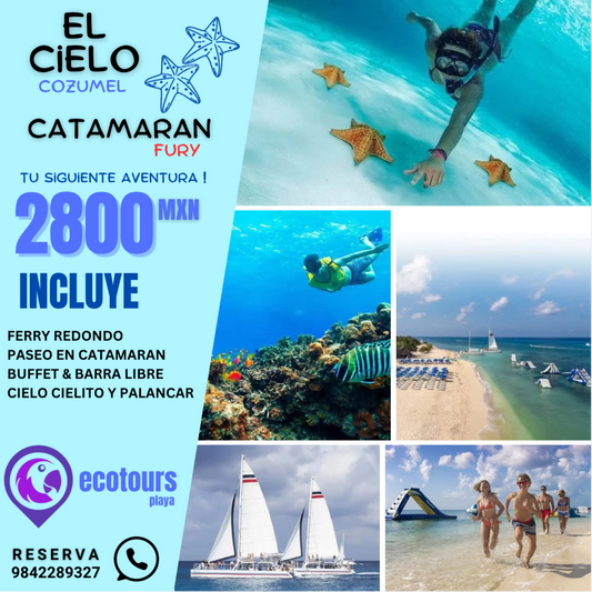 EL CIELO CATAMARAN + BEACH CLUB