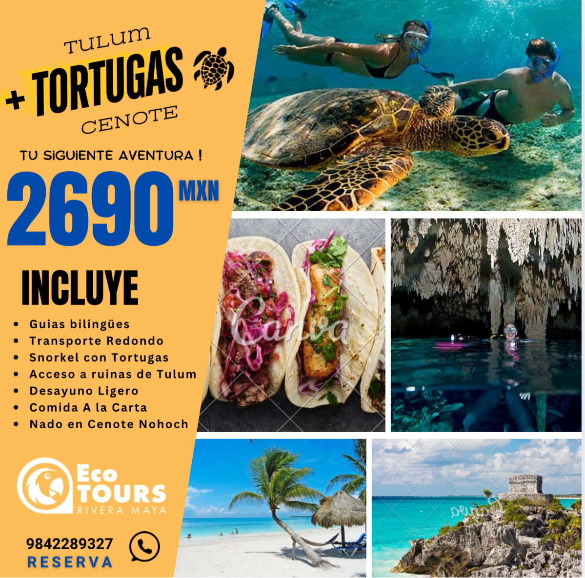 Tulum Ruinas + Nado con Tortugas + Cenote