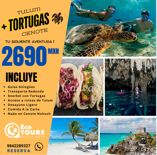 Tulum Ruinas + Nado con Tortugas + Cenote