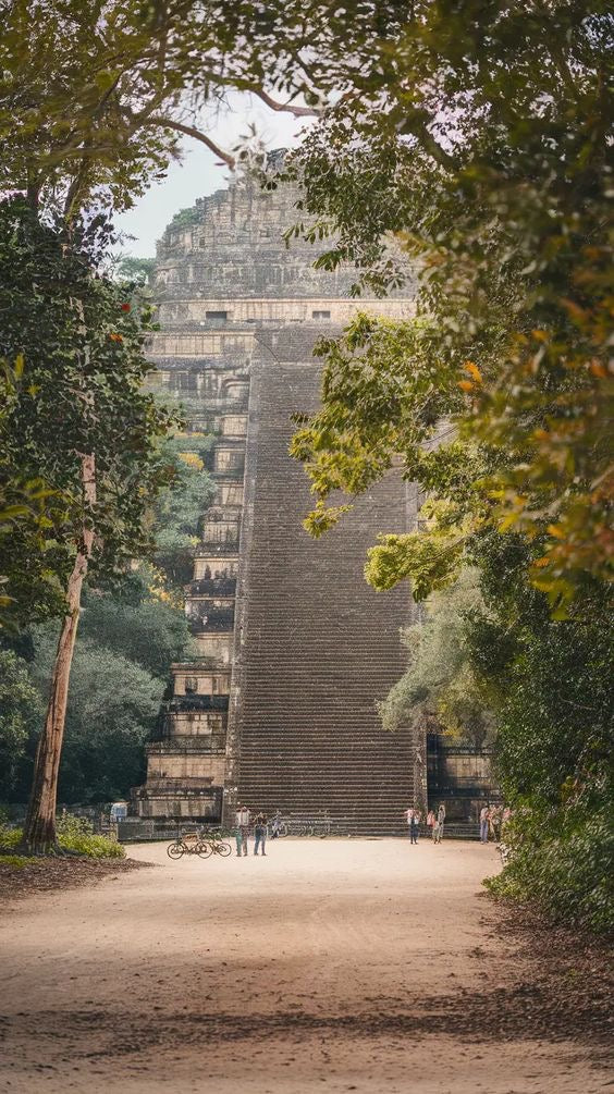 Tulum Coba Cenote Playa Paraiso
