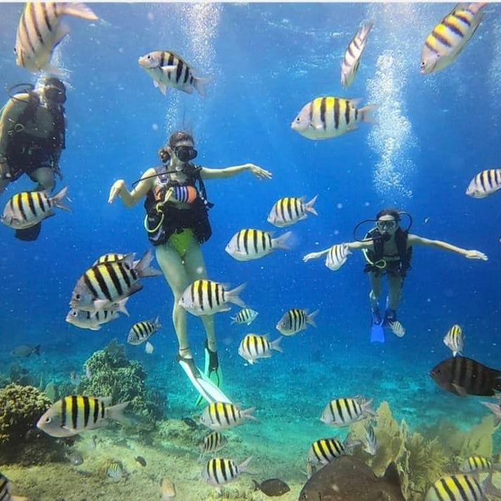 EL CIELO COZUMEL LANCHA