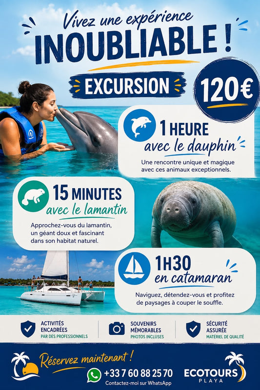 Nada con delfines