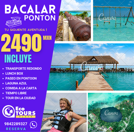 BACALAR PLUS