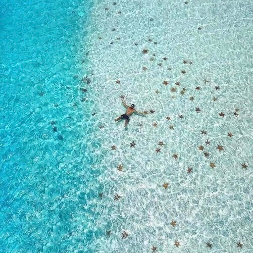 EL CIELO COZUMEL LANCHA