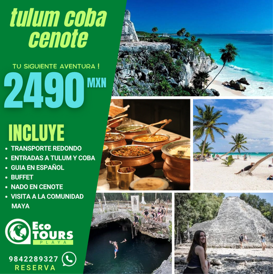 4x1: Tour Coba, Cenote, Tulum & CENOTE