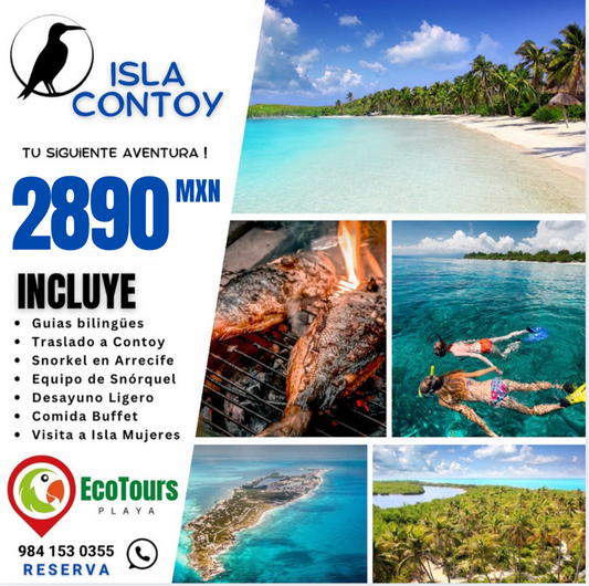 Isla Contoy + Isla Mujeres