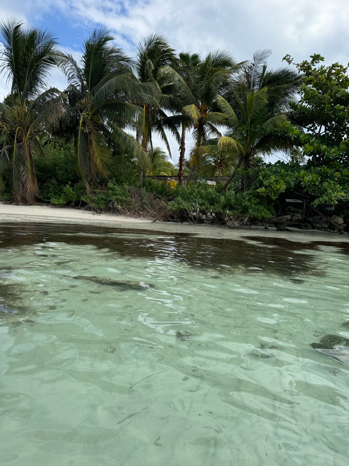 ISLA MUJERES CATAMARAN