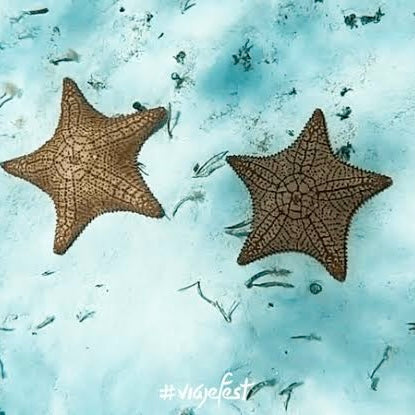 EL CIELO COZUMEL LANCHA