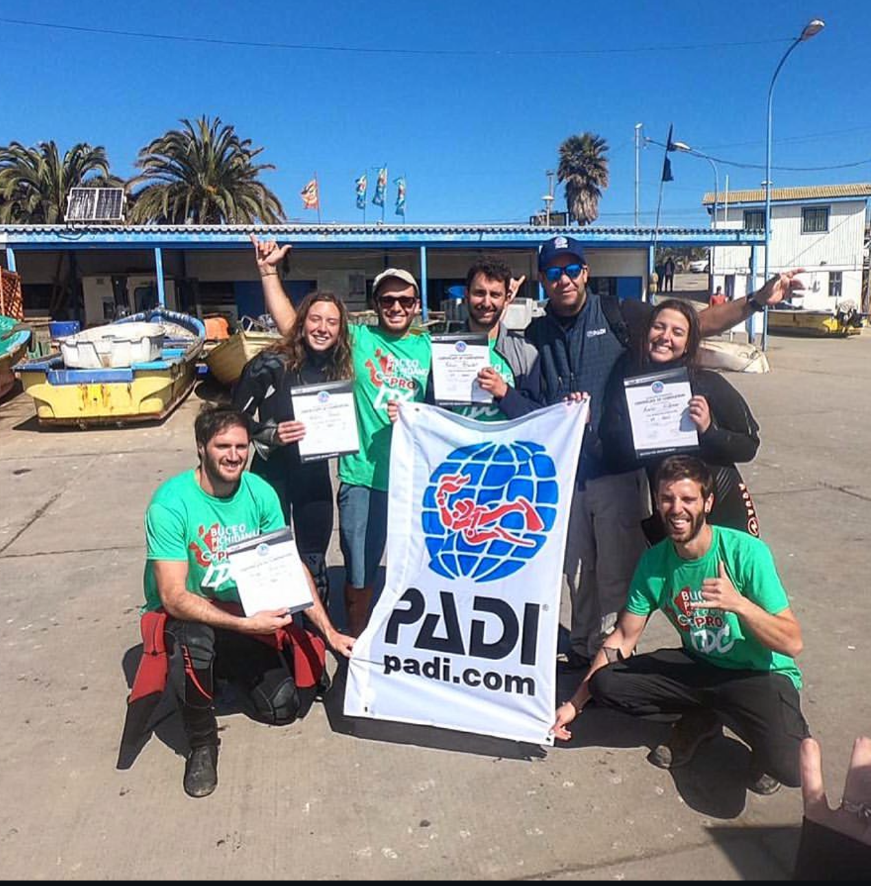 Buceo Certificado con Tiburon Toro ( Atracción)