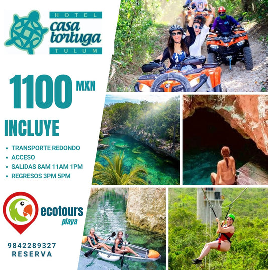 CENOTE CASA TORTUGA + TRANSPORTE
