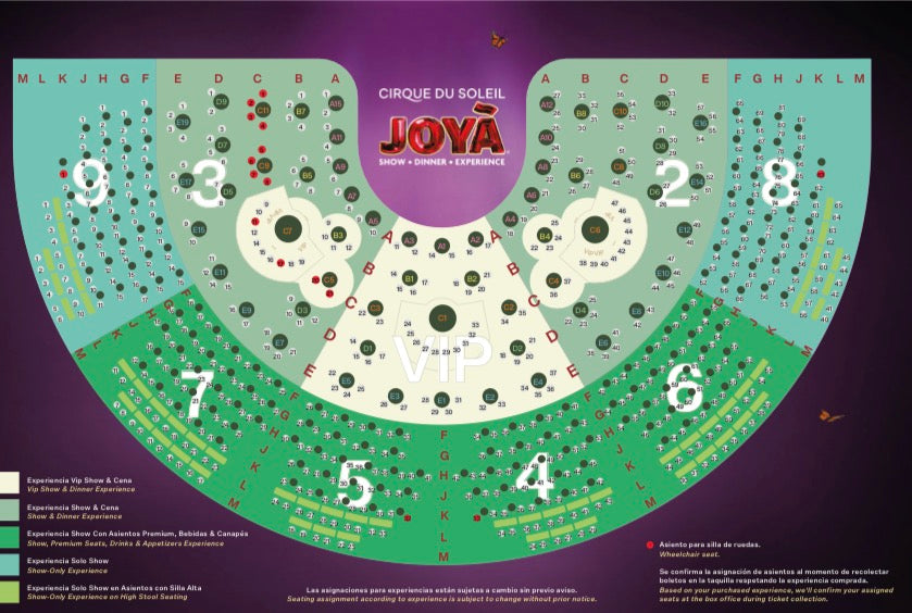 Cirque du Soleil Regular -JOYA