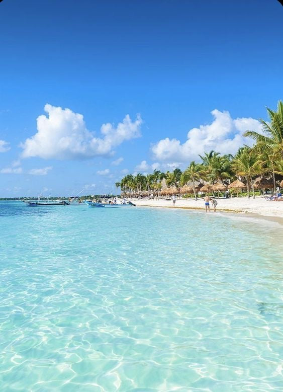 AKUMAL TORTUGAS + CENOTE