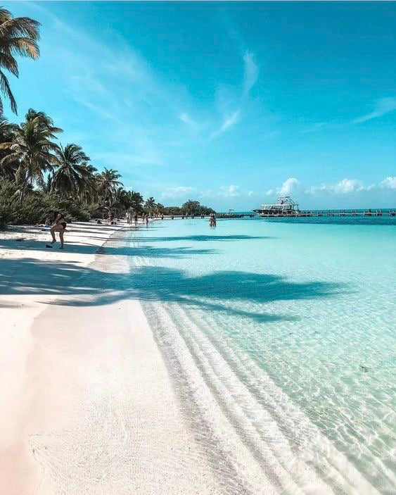 Isla Contoy + Isla Mujeres