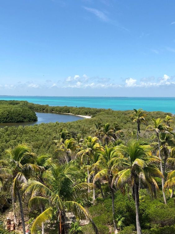 Isla Contoy + Isla Mujeres