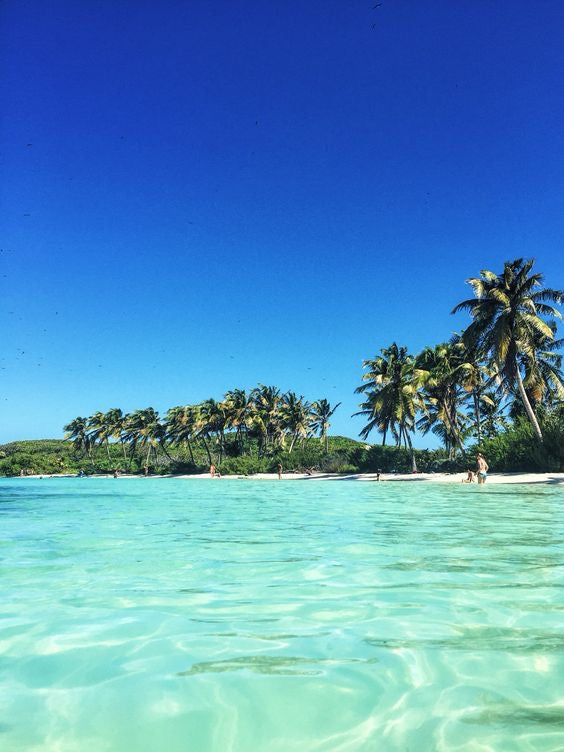 Isla Contoy + Isla Mujeres