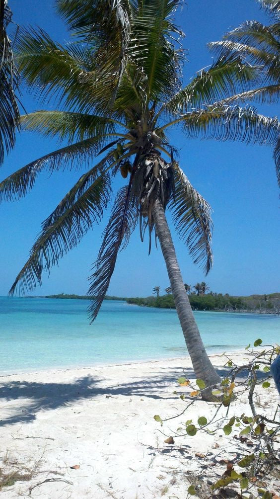 Isla Contoy + Isla Mujeres