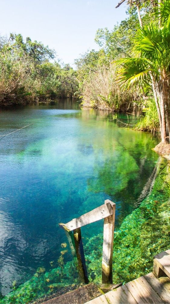 Tulum + Madre Naturaleza + Cenote