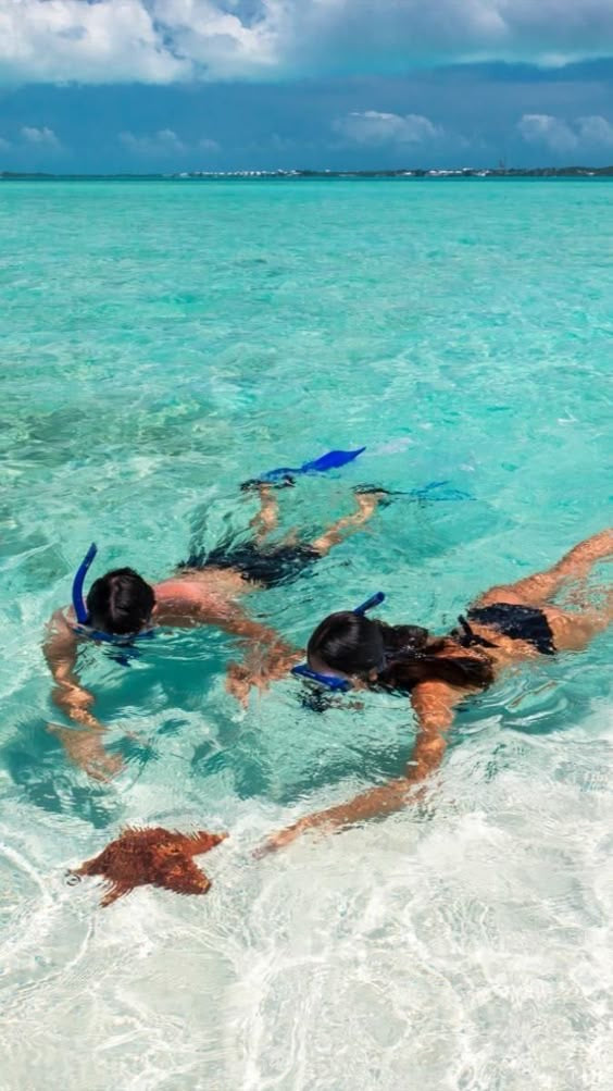 EL CIELO CATAMARAN + BEACH CLUB