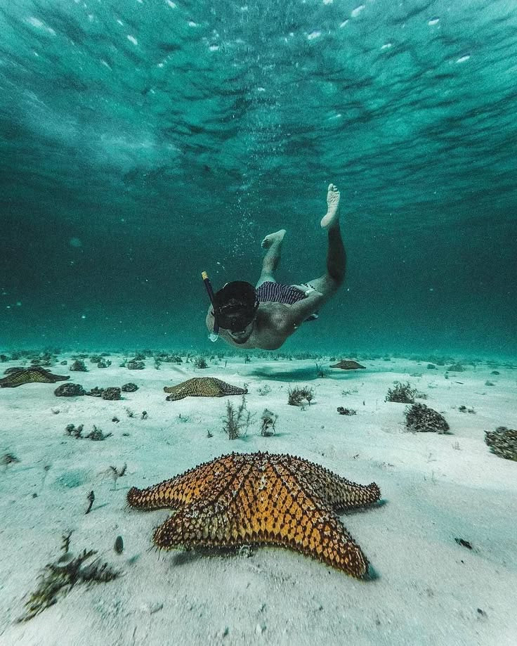 EL CIELO CATAMARAN + BEACH CLUB