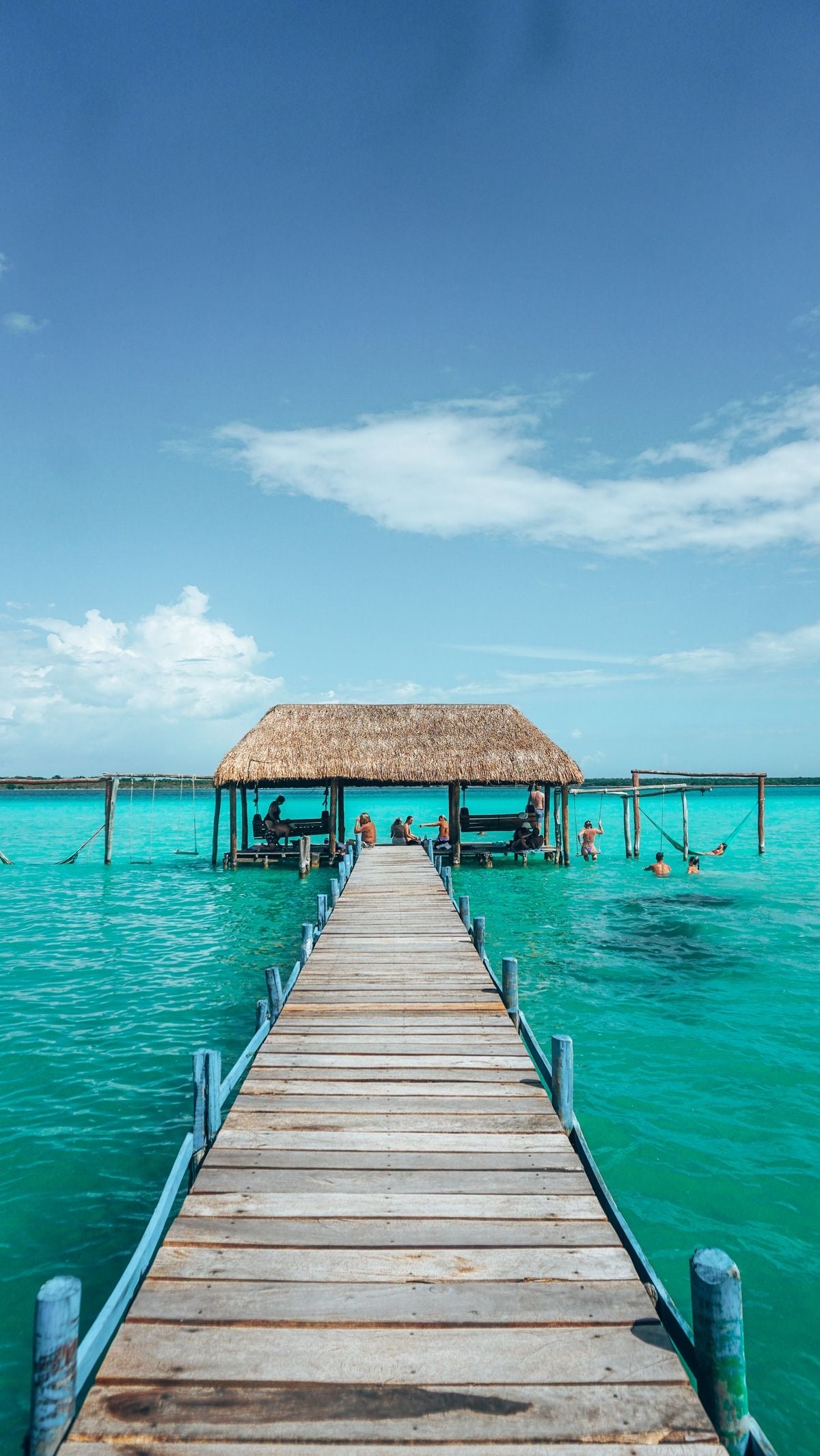 BACALAR PLUS