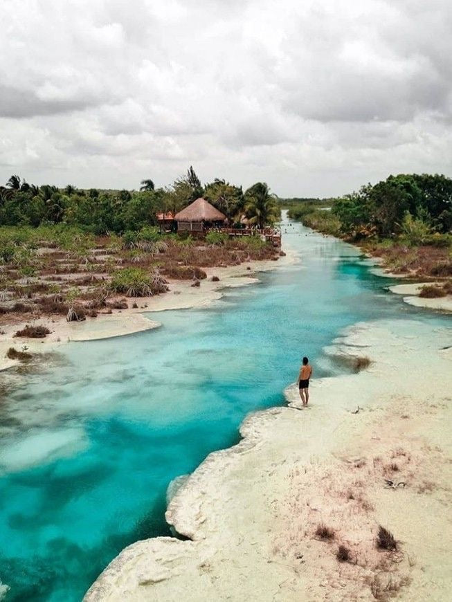 BACALAR PLUS