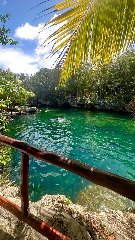 CENOTE CASA TORTUGA + TRANSPORTE