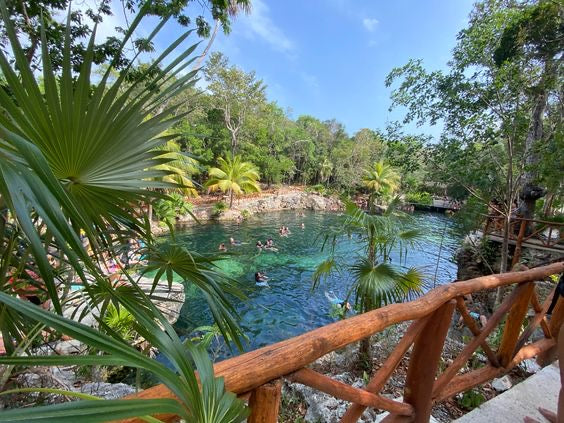 CENOTE CASA TORTUGA + TRANSPORTE