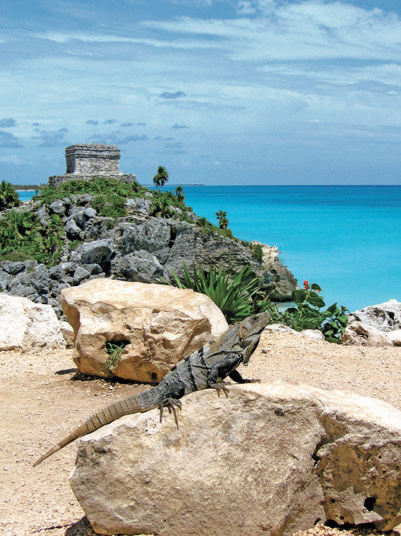 Tulum Ruinas + Nado con Tortugas + Cenote