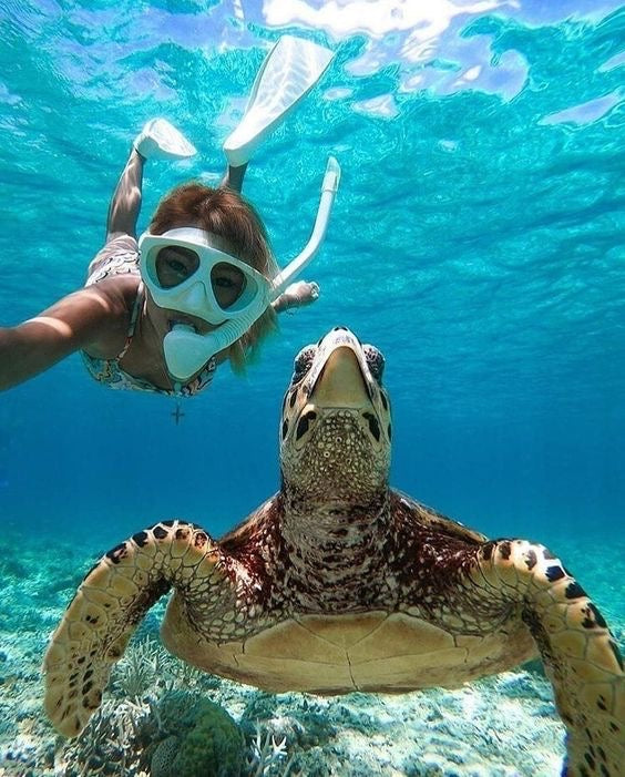 Tulum Ruinas + Nado con Tortugas + Cenote