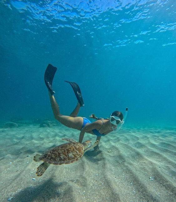 Tulum Ruinas + Nado con Tortugas + Cenote
