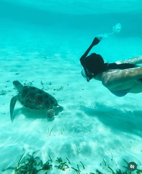 Tulum Ruinas + Nado con Tortugas + Cenote