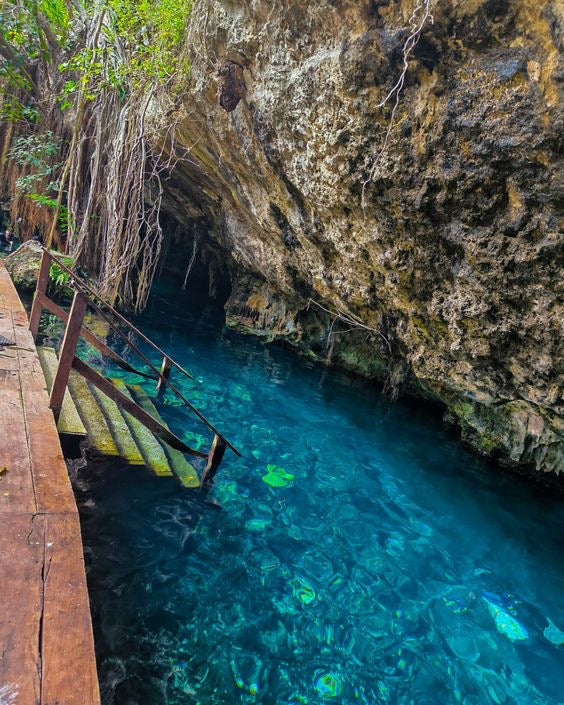 Tulum Ruinas + Nado con Tortugas + Cenote