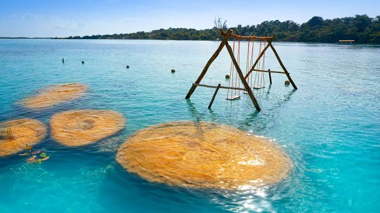BACALAR PLUS