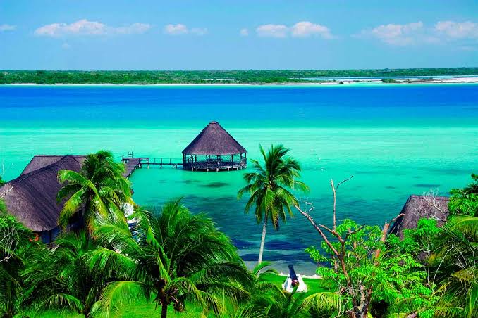 BACALAR PLUS