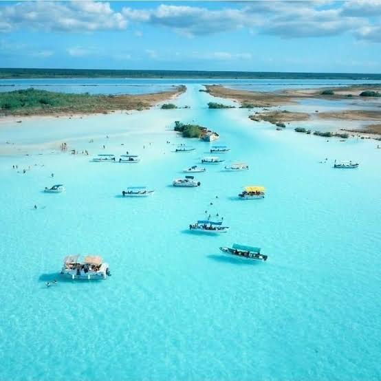 BACALAR PLUS