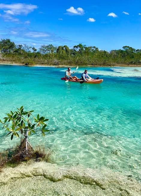 BACALAR PLUS