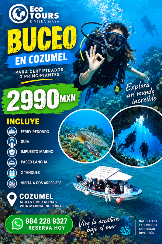 BUCEO CERTIFICADO O AMATEUR EN COZUMEL 🤿