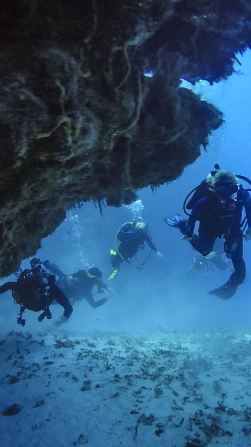 BUCEO CERTIFICADO O AMATEUR EN COZUMEL