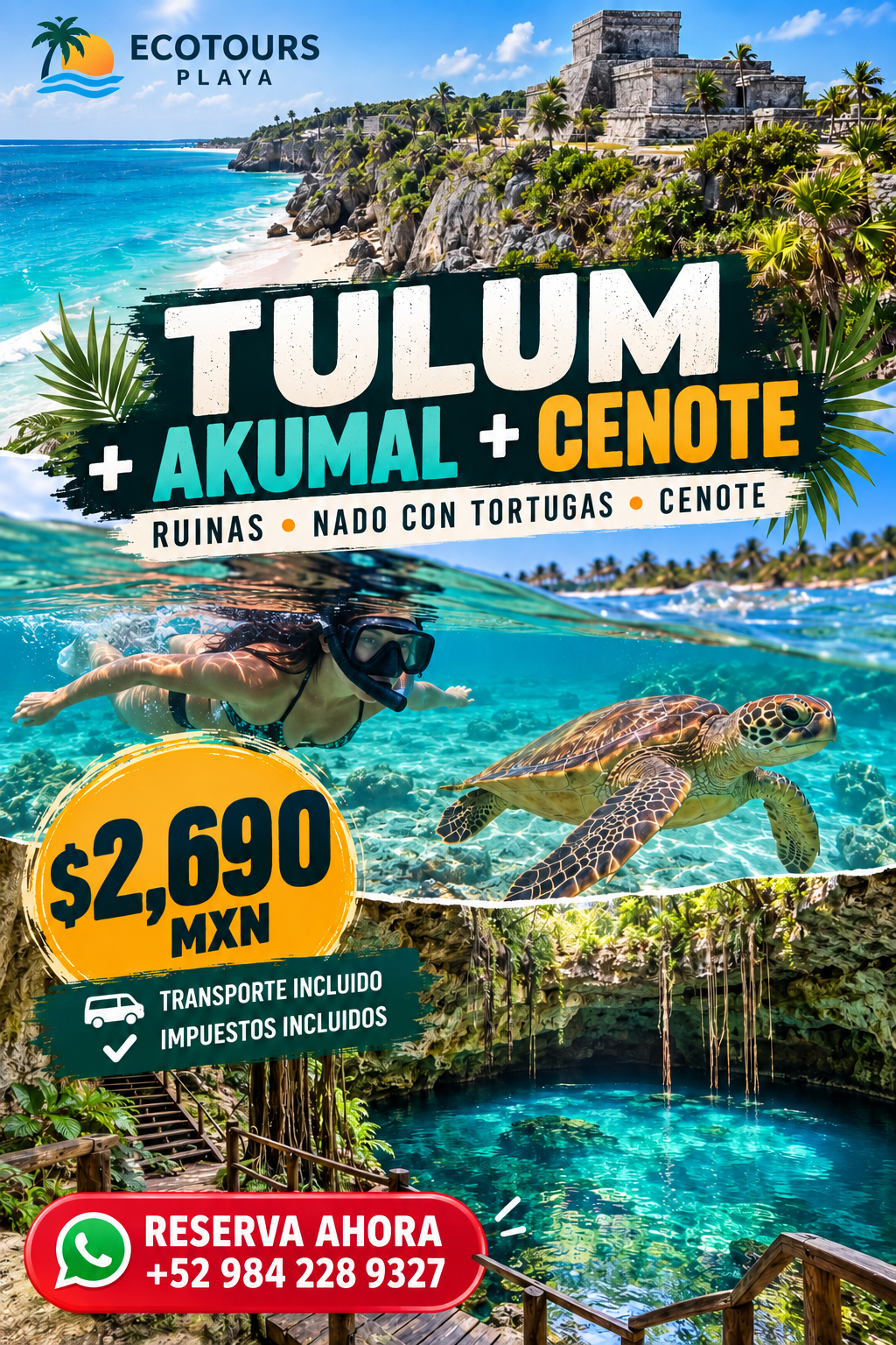 Tour Tulum + Akumal: Ruinas, Nado con Tortugas y Cenote