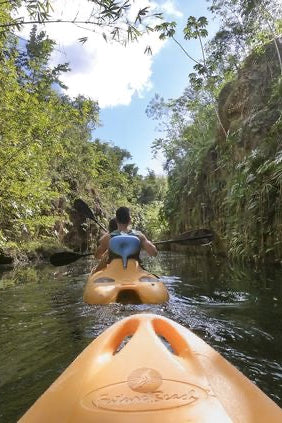 Xenotes Cancún el mejor Tour de Cenotes | $2,400 MXN