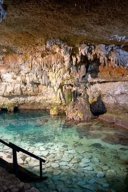 Cenotes Tulum | Tour de 3 Cenotes + Laguna Kaan Luum | 1650 MXN