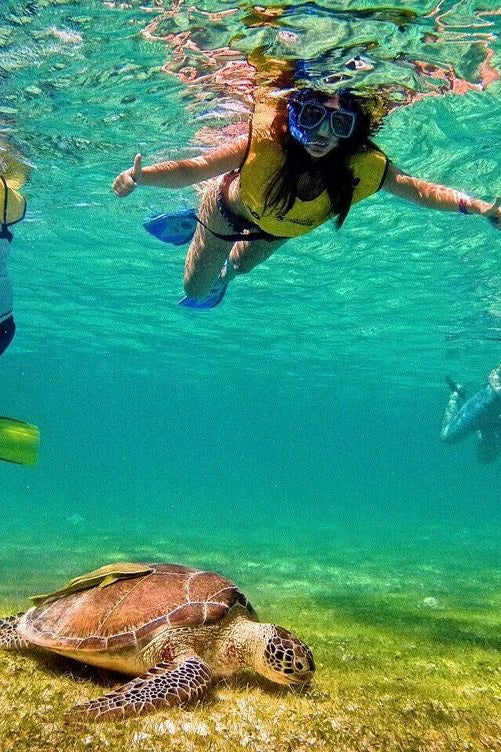 Akumal Adrenaline: Tortugas + ATVs + Tirolesas + Cenote