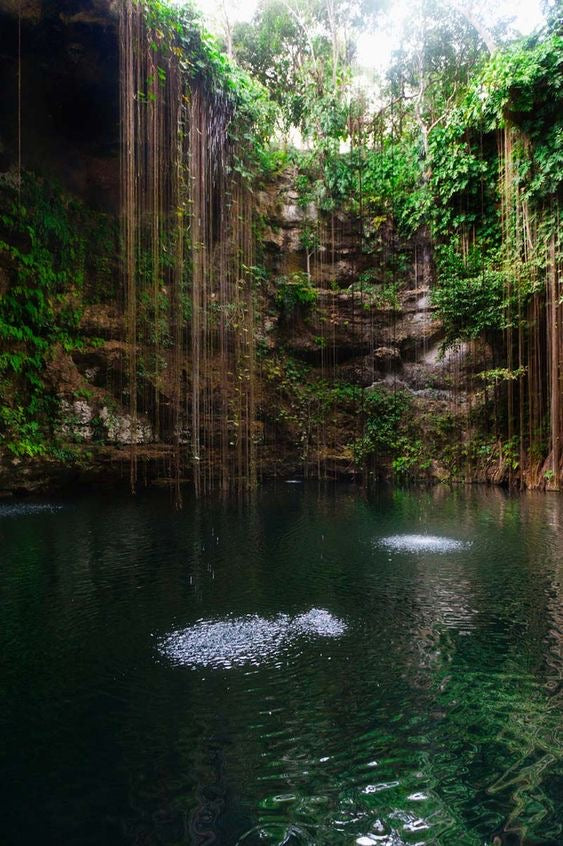 Chichén Itzá + Cenote ik Kil + Valladolid | Buffet